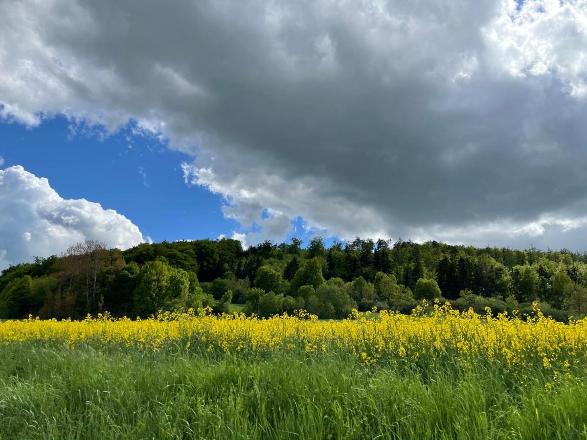 Villa Talblick Im Naturpark Altmuehltal 格雷丁 外观 照片